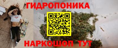 мдма Можга