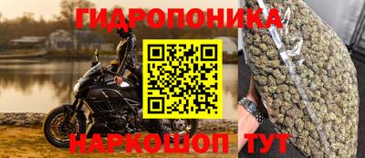 прущие грибы Моздок