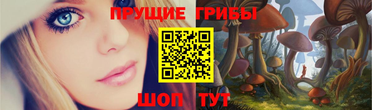 Псилоцибиновые грибы Magic Shrooms  Вход с VPN  хочу   Псилоцибиновые грибы Psilocybe  Советск 